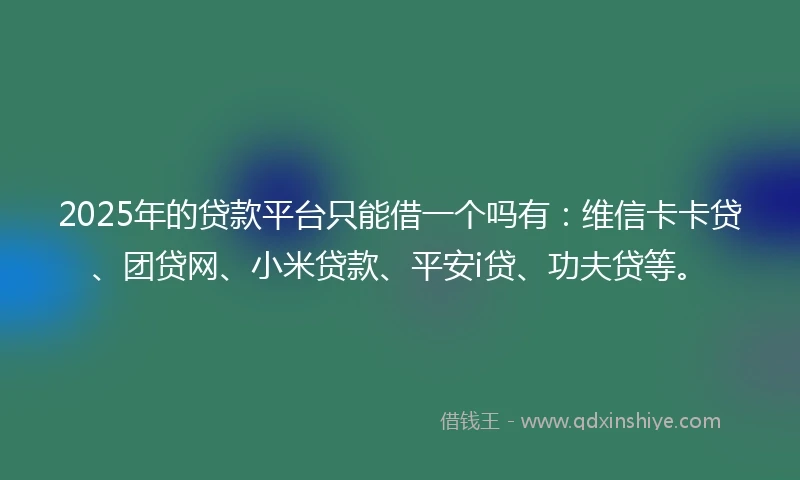 2025年的贷款平台只能借一个吗有：维信卡卡贷、团贷网、小米贷款、平安i贷、功夫贷等。