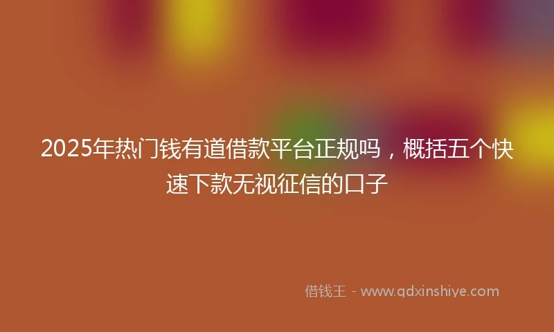 2025年热门钱有道借款平台正规吗，概括五个快速下款无视征信的口子