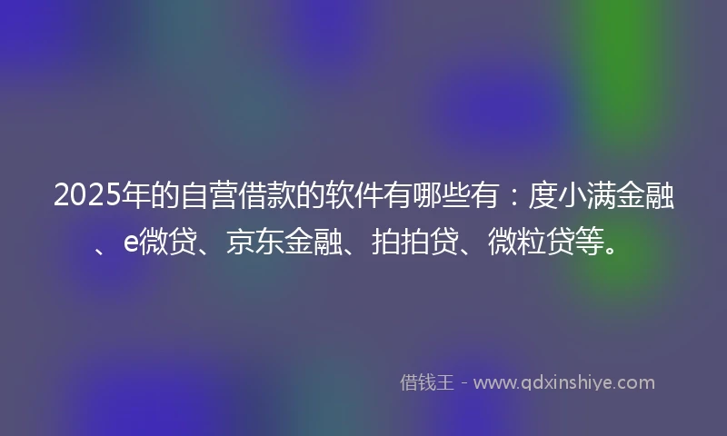 2025年的自营借款的软件有哪些有：度小满金融、e微贷、京东金融、拍拍贷、微粒贷等。