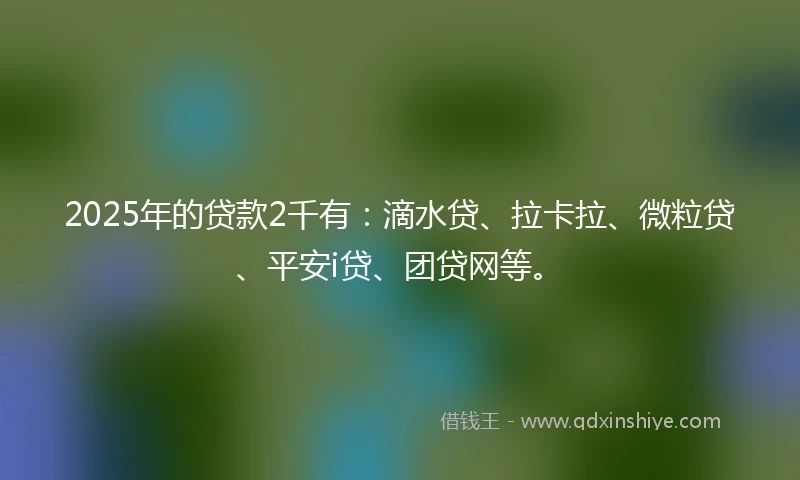 2025年的贷款2千有：滴水贷、拉卡拉、微粒贷、平安i贷、团贷网等。