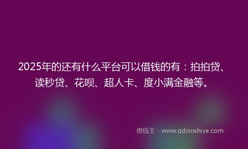 2025年的还有什么平台可以借钱的有：拍拍贷、读秒贷、花呗、超人卡、度小满金融等。