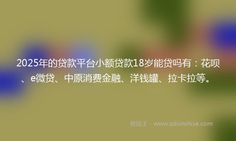 2025年的贷款平台小额贷款18岁能贷吗有：花呗、e微贷、中原消费金融、洋钱罐、拉卡拉等。