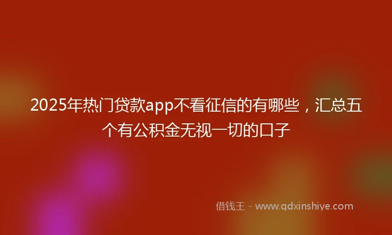 2025年热门贷款app不看征信的有哪些，汇总五个有公积金无视一切的口子