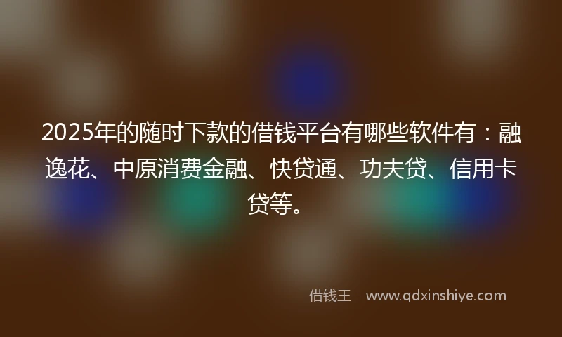 2025年的随时下款的借钱平台有哪些软件有：融逸花、中原消费金融、快贷通、功夫贷、信用卡贷等。