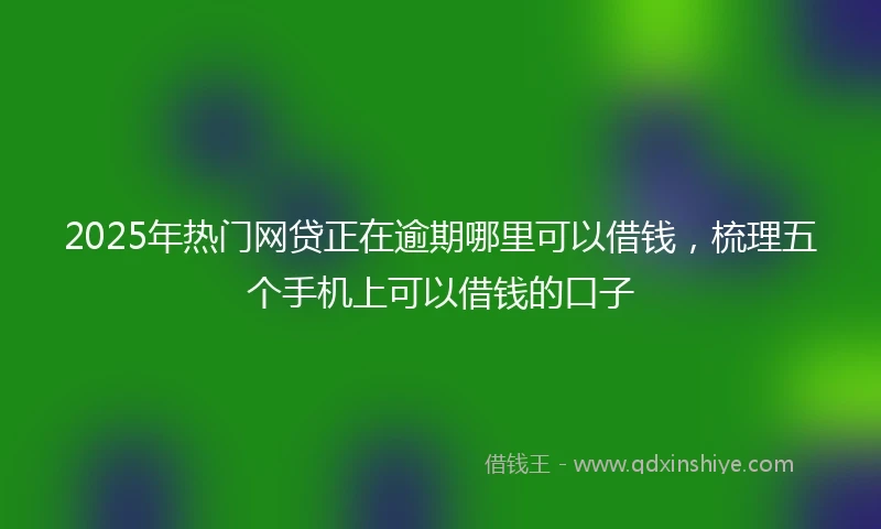 2025年热门网贷正在逾期哪里可以借钱，梳理五个手机上可以借钱的口子