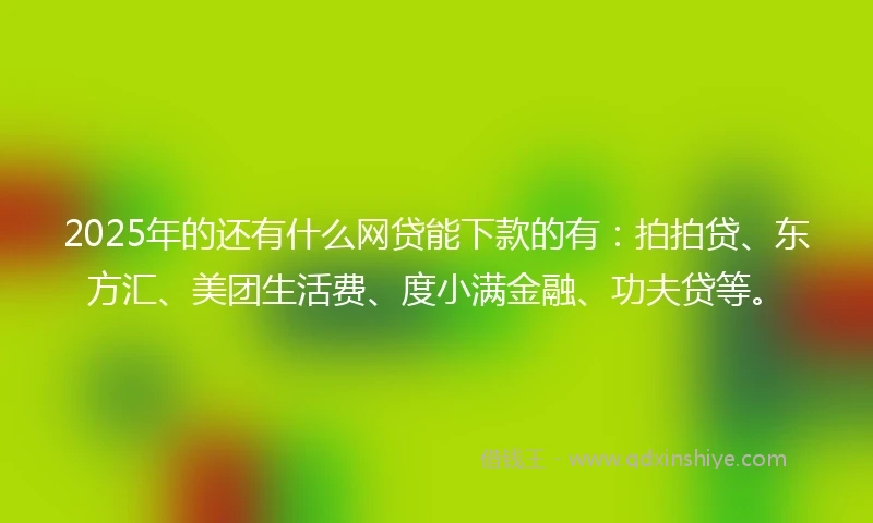 2025年的还有什么网贷能下款的有：拍拍贷、东方汇、美团生活费、度小满金融、功夫贷等。