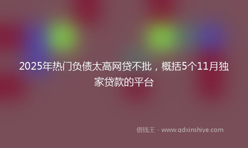2025年热门负债太高网贷不批，概括5个11月独家贷款的平台