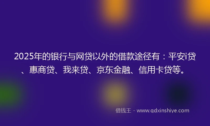 2025年的银行与网贷以外的借款途径有：平安i贷、惠商贷、我来贷、京东金融、信用卡贷等。