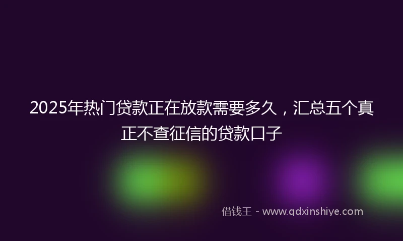 2025年热门贷款正在放款需要多久，汇总五个真正不查征信的贷款口子
