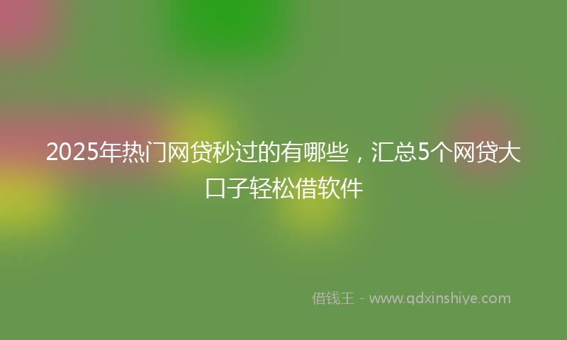 2025年热门网贷秒过的有哪些，汇总5个网贷大口子轻松借软件