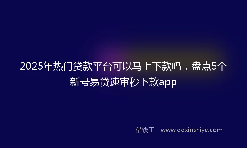 2025年热门贷款平台可以马上下款吗，盘点5个新号易贷速审秒下款app