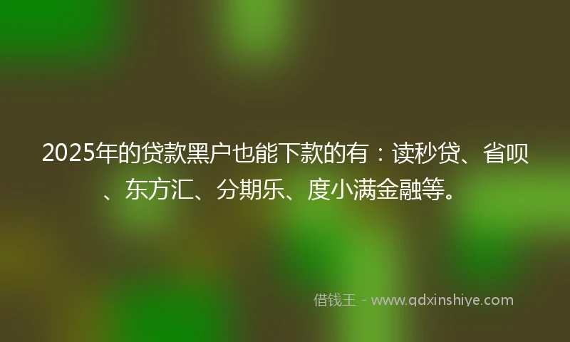 2025年的贷款黑户也能下款的有:读秒贷、省呗、东方汇、分期乐、度小满金融等。