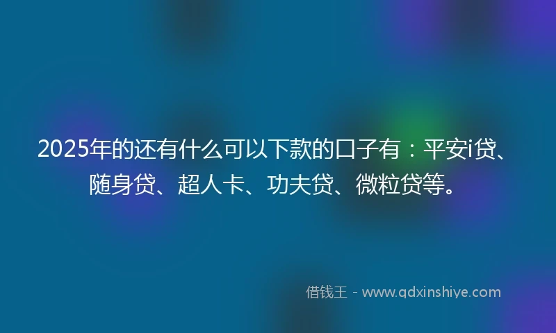 2025年的还有什么可以下款的口子有：平安i贷、随身贷、超人卡、功夫贷、微粒贷等。