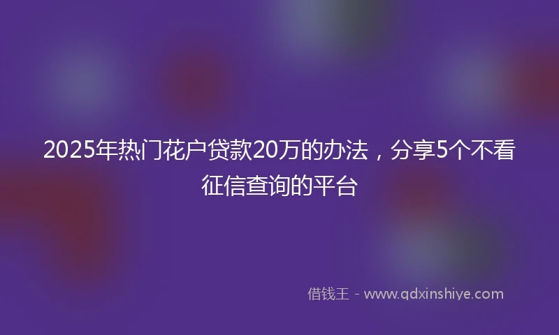 2025年热门花户贷款20万的办法，分享5个不看征信查询的平台