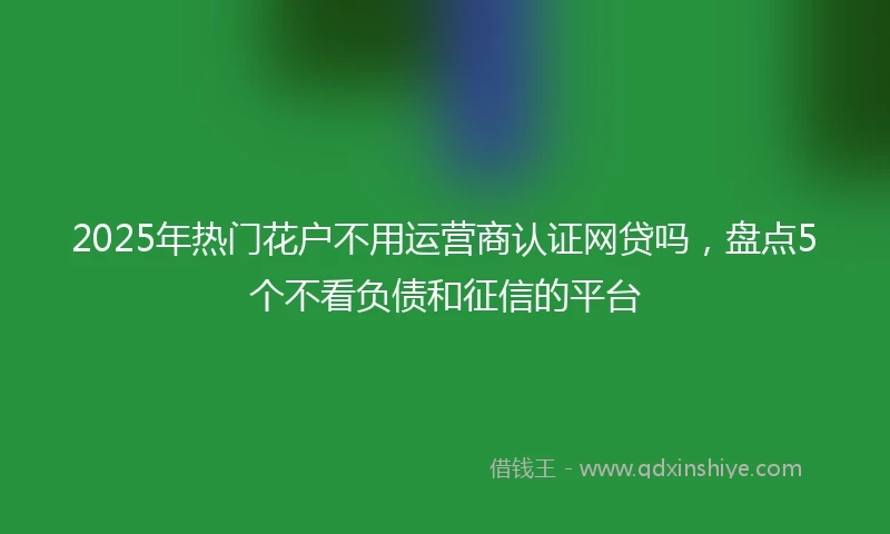 2025年热门花户不用运营商认证网贷吗，盘点5个不看负债和征信的平台