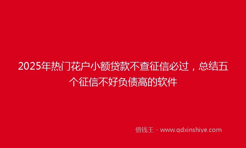 2025年热门花户小额贷款不查征信必过，总结五个征信不好负债高的软件