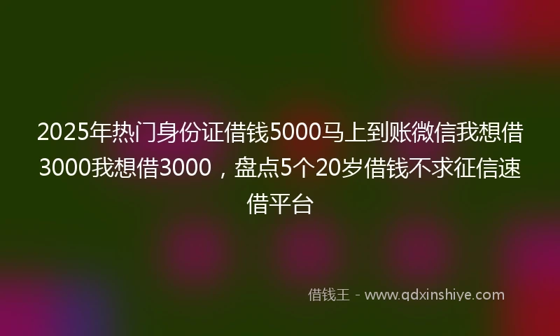 2025年热门身份证借钱5000马上到账微信我想借3000我想借3000，盘点5个20岁借钱不求征信速借平台