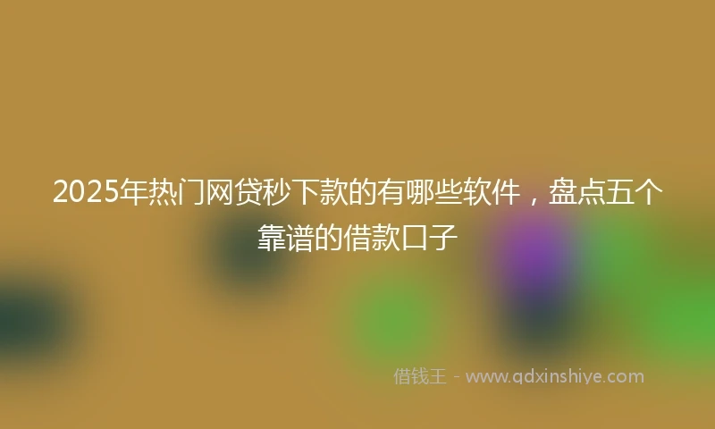 2025年热门网贷秒下款的有哪些软件，盘点五个靠谱的借款口子