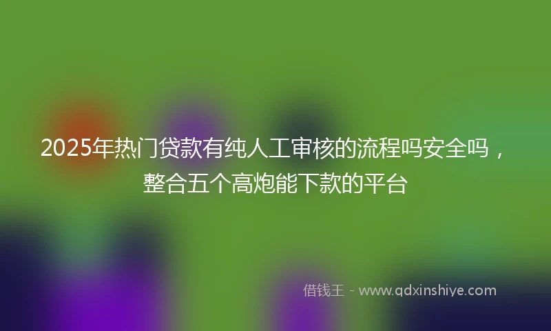 2025年热门贷款有纯人工审核的流程吗安全吗,整合五个高炮能下款的平台
