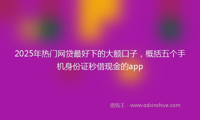 2025年热门网贷最好下的大额口子，概括五个手机身份证秒借现金的app