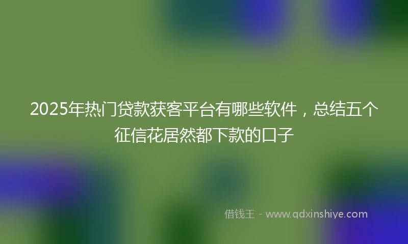 2025年热门贷款获客平台有哪些软件，总结五个征信花居然都下款的口子