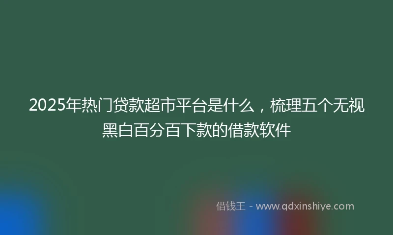 2025年热门贷款超市平台是什么，梳理五个无视黑白百分百下款的借款软件