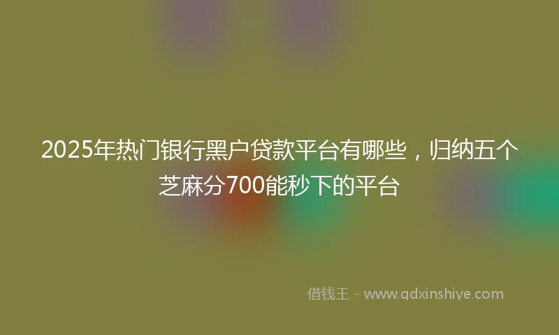 2025年热门银行黑户贷款平台有哪些，归纳五个芝麻分700能秒下的平台