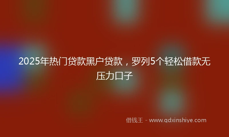 2025年热门贷款黑户贷款，罗列5个轻松借款无压力口子