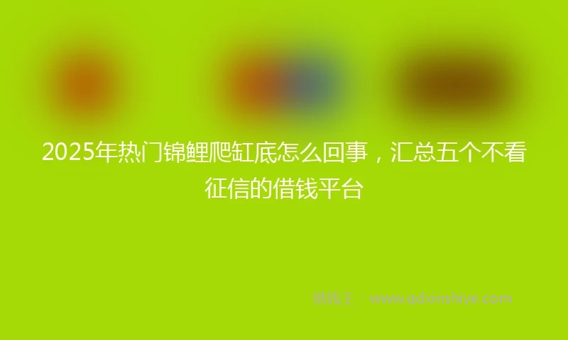2025年热门锦鲤爬缸底怎么回事，汇总五个不看征信的借钱平台
