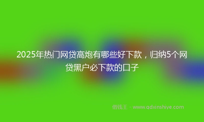 2025年热门网贷高炮有哪些好下款，归纳5个网贷黑户必下款的口子