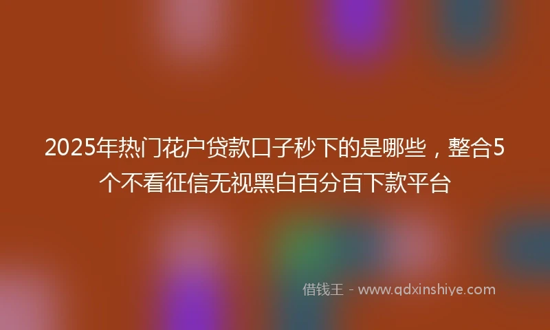 2025年热门花户贷款口子秒下的是哪些，整合5个不看征信无视黑白百分百下款平台