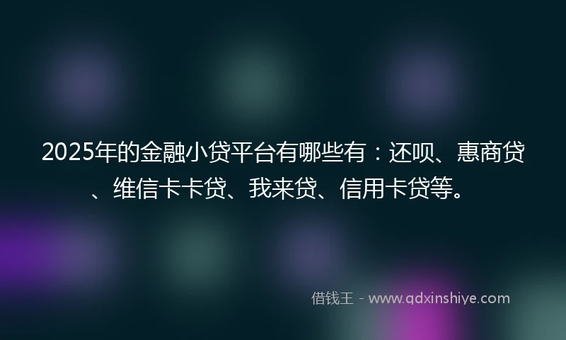2025年的金融小贷平台有哪些有：还呗、惠商贷、维信卡卡贷、我来贷、信用卡贷等。