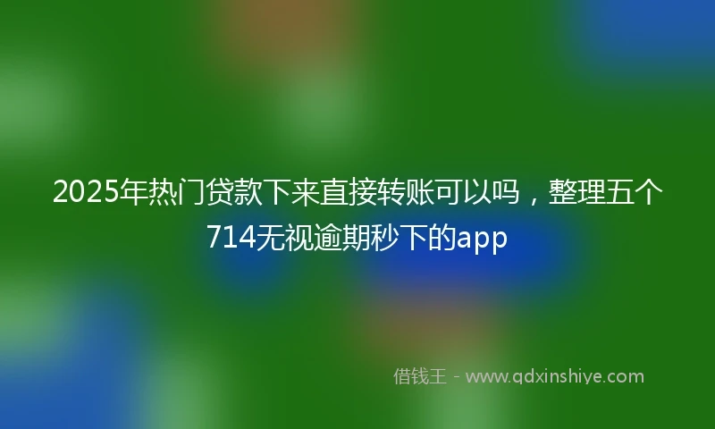 2025年热门贷款下来直接转账可以吗，整理五个714无视逾期秒下的app