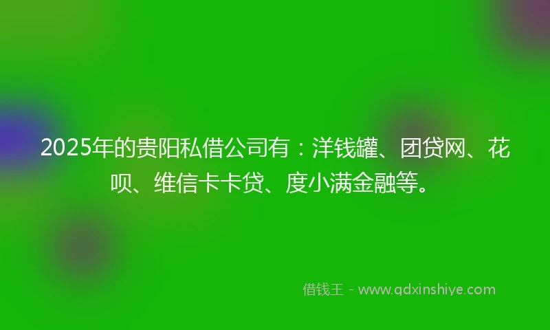 2025年的贵阳私借公司有：洋钱罐、团贷网、花呗、维信卡卡贷、度小满金融等。