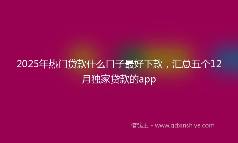 2025年热门贷款什么口子最好下款，汇总五个12月独家贷款的app