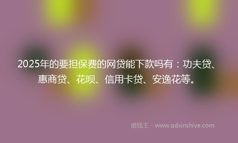 2025年的要担保费的网贷能下款吗有：功夫贷、惠商贷、花呗、信用卡贷、安逸花等。