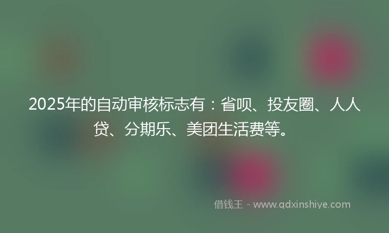 2025年的自动审核标志有：省呗、投友圈、人人贷、分期乐、美团生活费等。