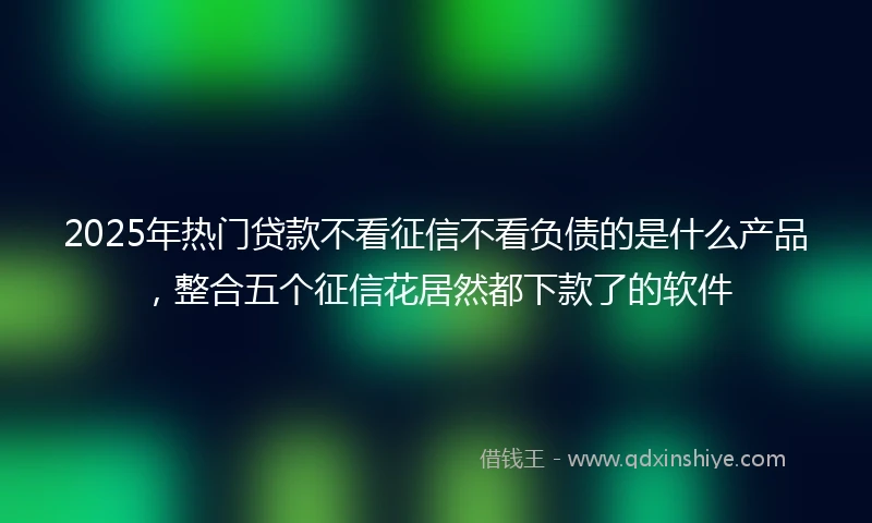 2025年热门贷款不看征信不看负债的是什么产品，整合五个征信花居然都下款了的软件