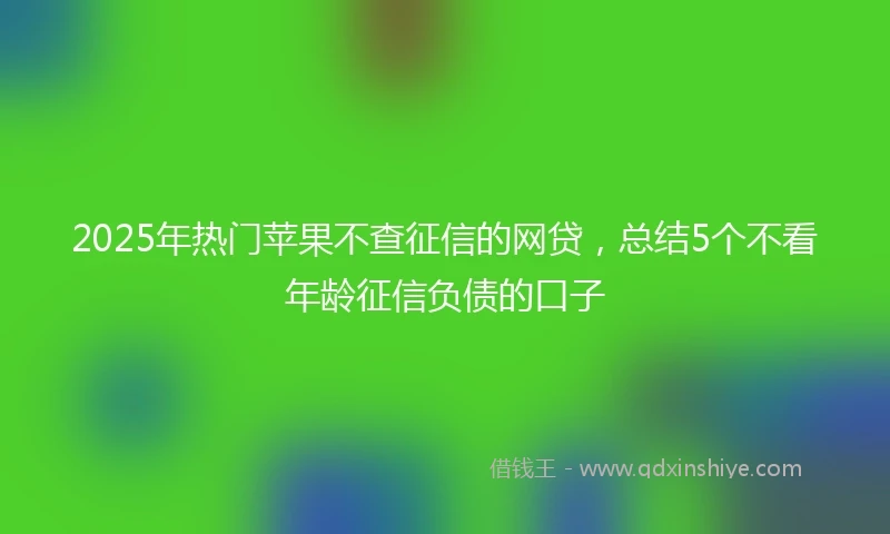 2025年热门苹果不查征信的网贷，总结5个不看年龄征信负债的口子