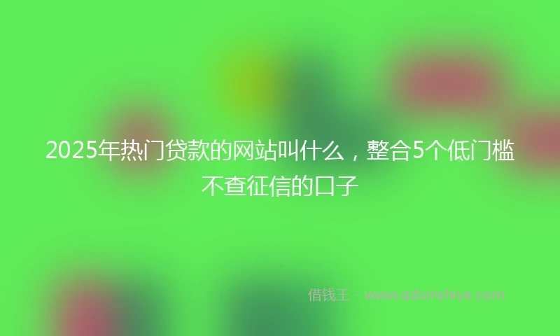 2025年热门贷款的网站叫什么，整合5个低门槛不查征信的口子