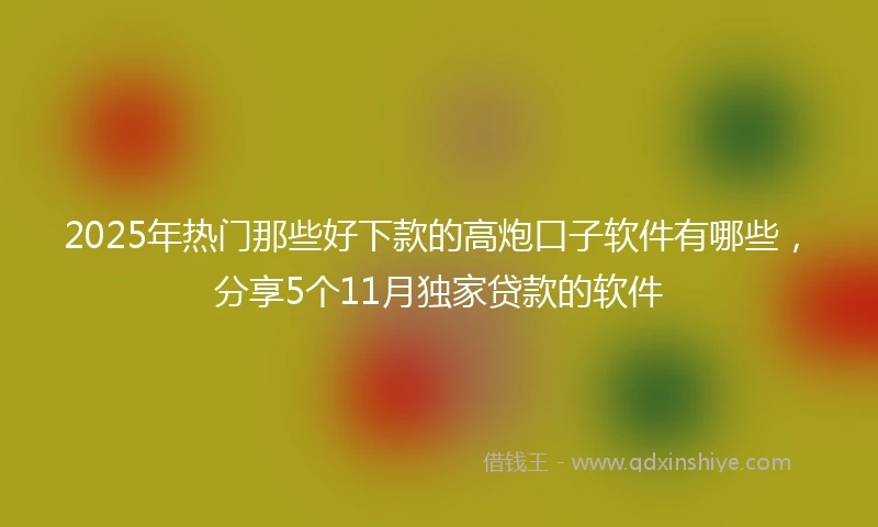 2025年热门那些好下款的高炮口子软件有哪些，分享5个11月独家贷款的软件