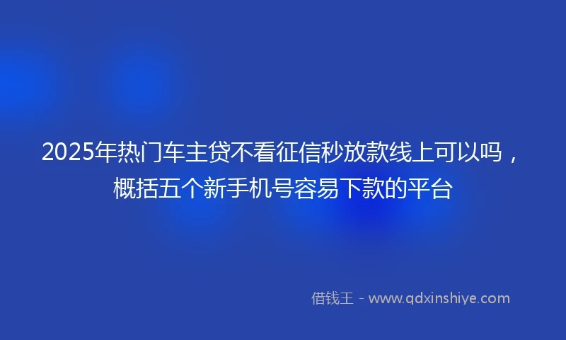 2025年热门车主贷不看征信秒放款线上可以吗，概括五个新手机号容易下款的平台