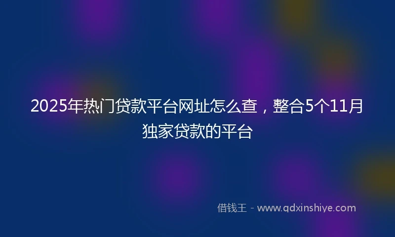 2025年热门贷款平台网址怎么查，整合5个11月独家贷款的平台