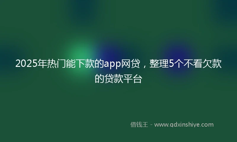 2025年热门能下款的app网贷，整理5个不看欠款的贷款平台
