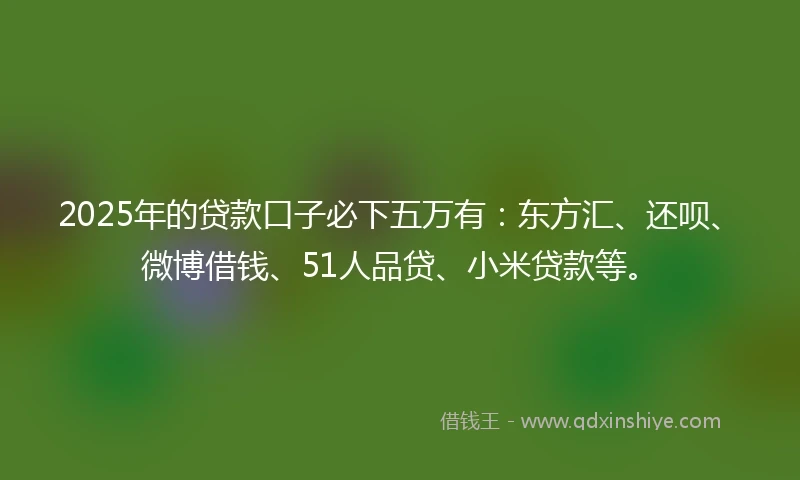 2025年的贷款口子必下五万有：东方汇、还呗、微博借钱、51人品贷、小米贷款等。