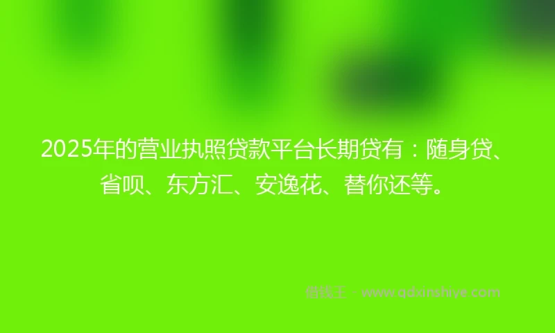 2025年的营业执照贷款平台长期贷有：随身贷、省呗、东方汇、安逸花、替你还等。