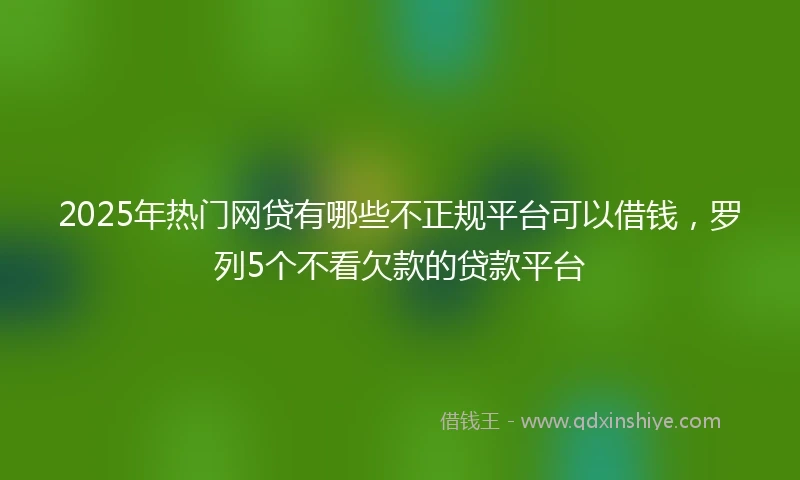 2025年热门网贷有哪些不正规平台可以借钱，罗列5个不看欠款的贷款平台
