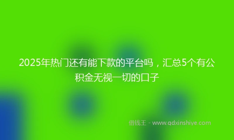 2025年热门还有能下款的平台吗，汇总5个有公积金无视一切的口子