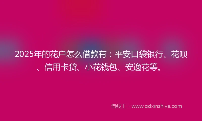 2025年的花户怎么借款有：平安口袋银行、花呗、信用卡贷、小花钱包、安逸花等。