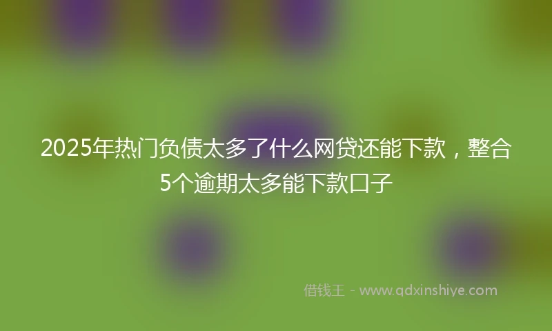 2025年热门负债太多了什么网贷还能下款，整合5个逾期太多能下款口子